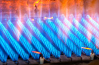 Manaton gas fired boilers